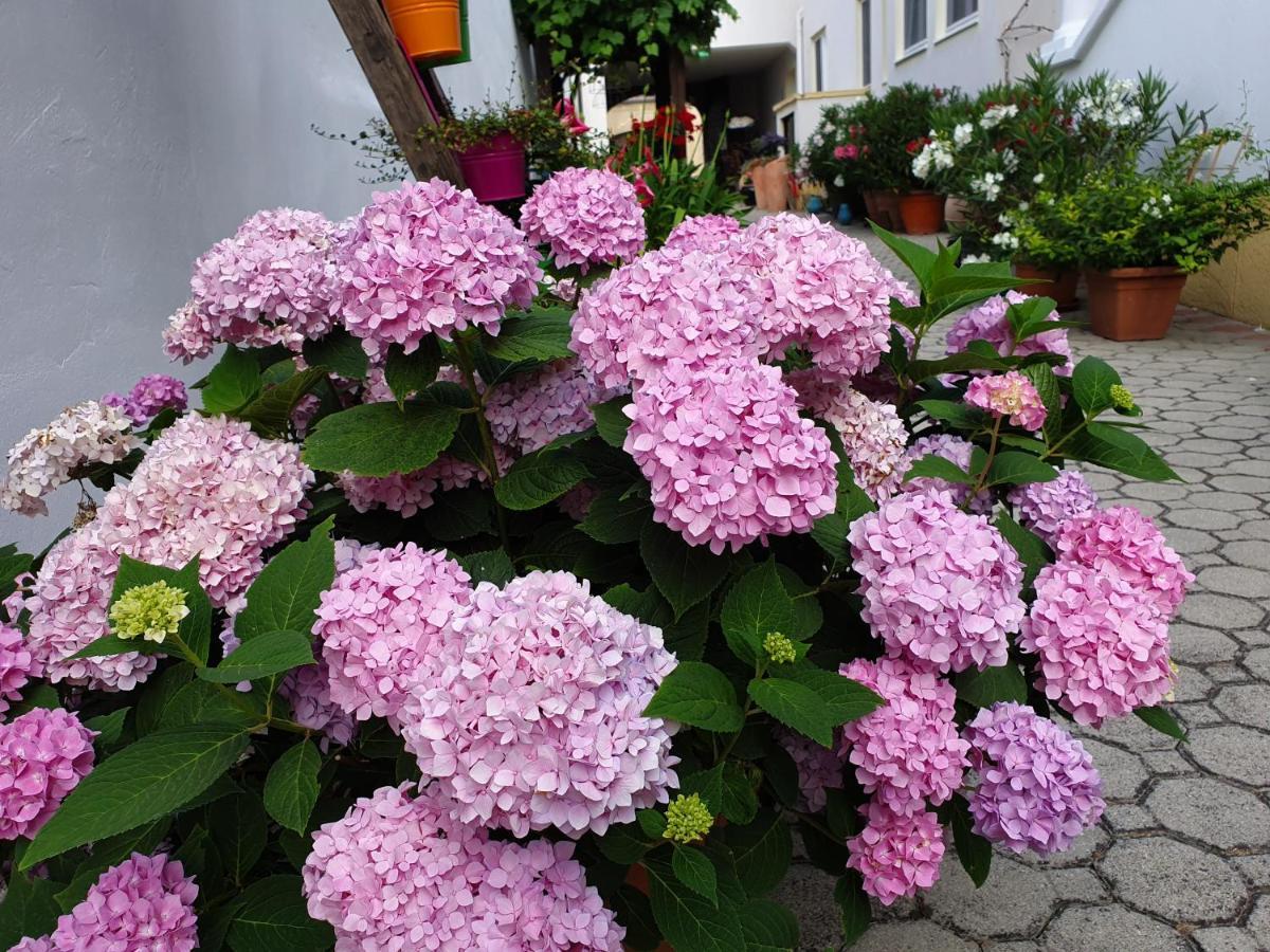 Casa Zara Apartamento Mörbisch am See Exterior foto